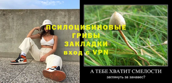 PSILOCYBIN Армянск