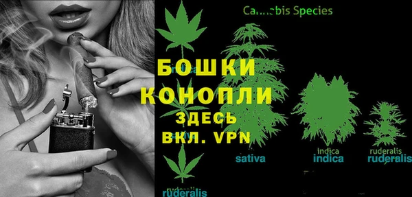 PSILOCYBIN Армянск
