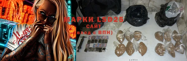 PSILOCYBIN Армянск