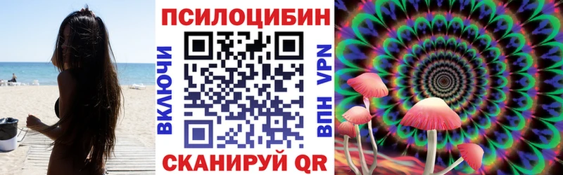 Псилоцибиновые грибы Psilocybe Минусинск