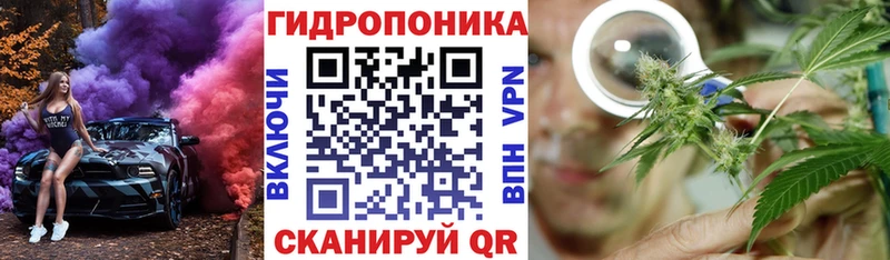 Бошки Шишки VHQ Минусинск