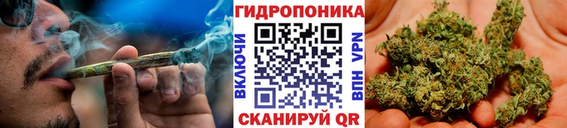 дарк нет как зайти  Минусинск  Конопля AK-47  что такое   blacksprut зеркало 